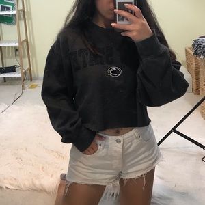 Penn state cropped sweatshirt